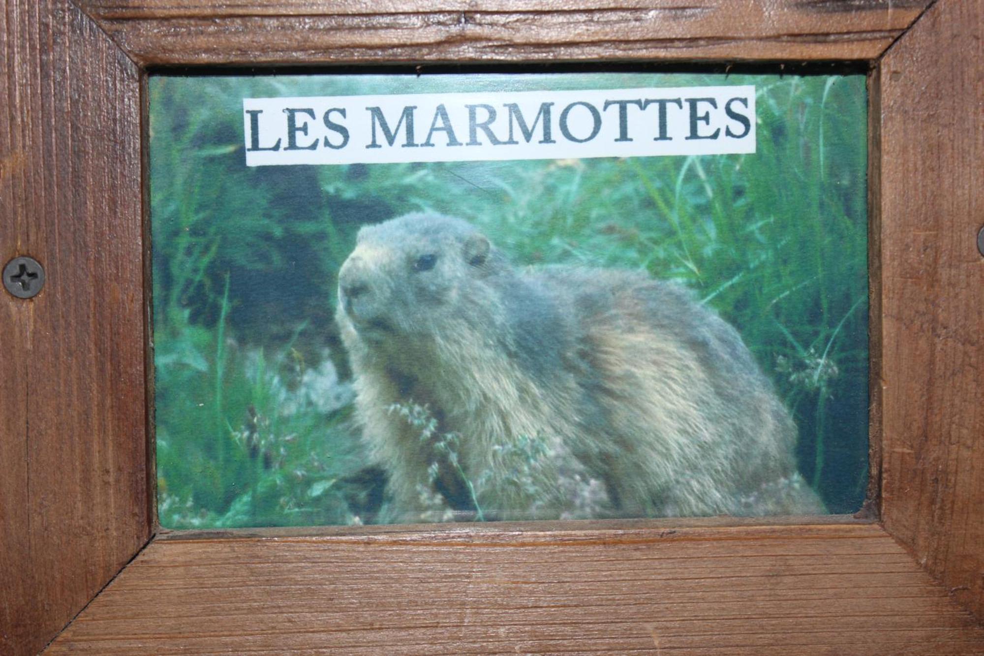 Maison De Charme Calme Entouree De Montagne Ussat Екстериор снимка